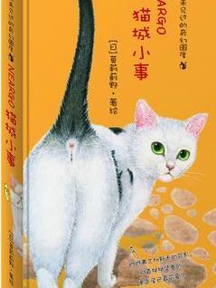 猫城小事