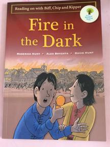 oxford reading tree level 12-3: fire in the dark