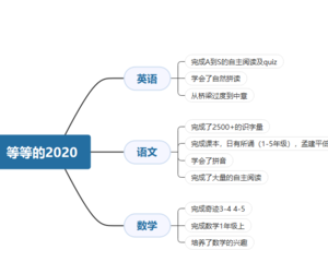 总结我们的2020（