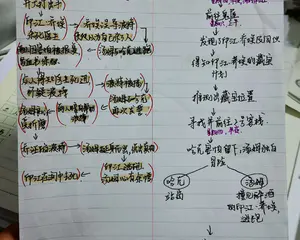 小学高年级精读教