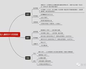 培养思维 筑牢基